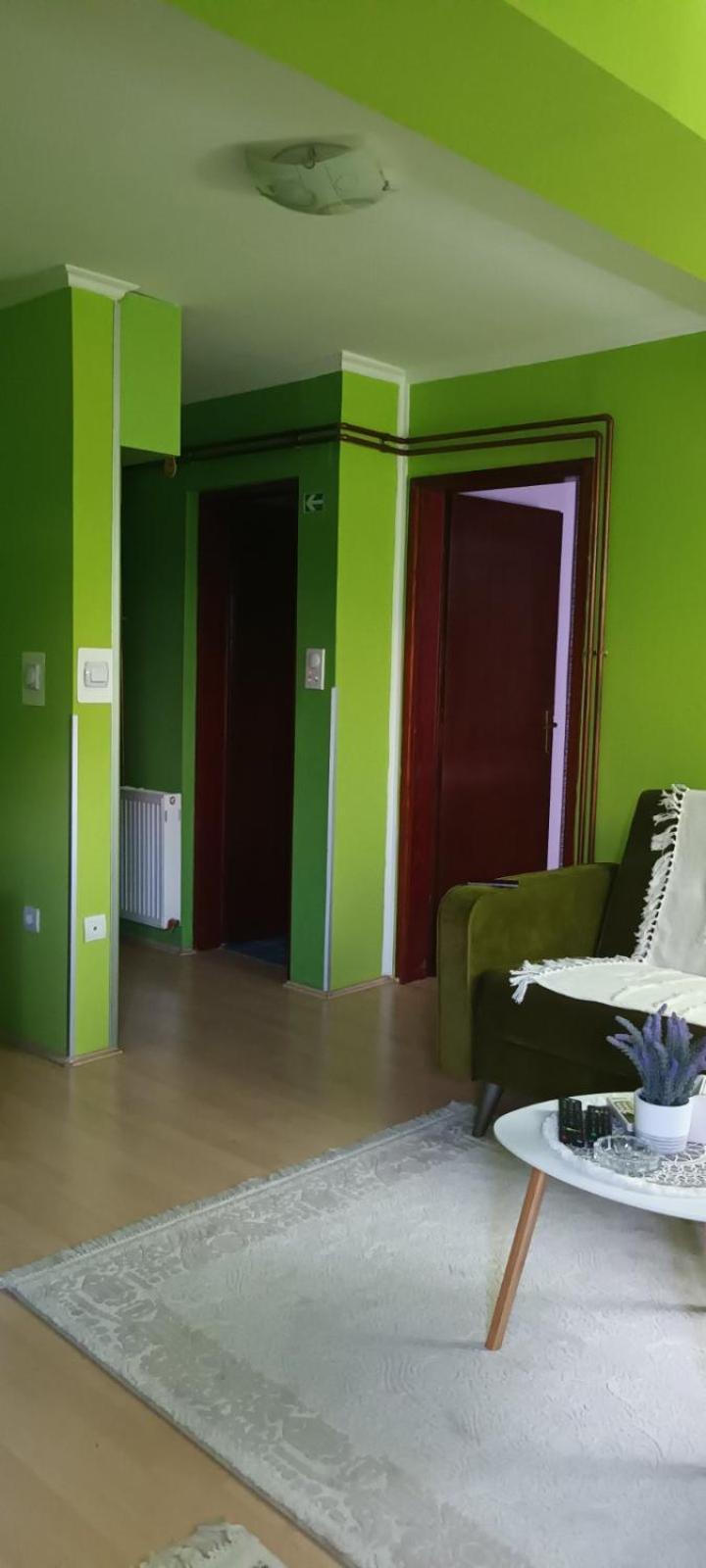 Apartamento Apartman Gaga Pirot Exterior foto